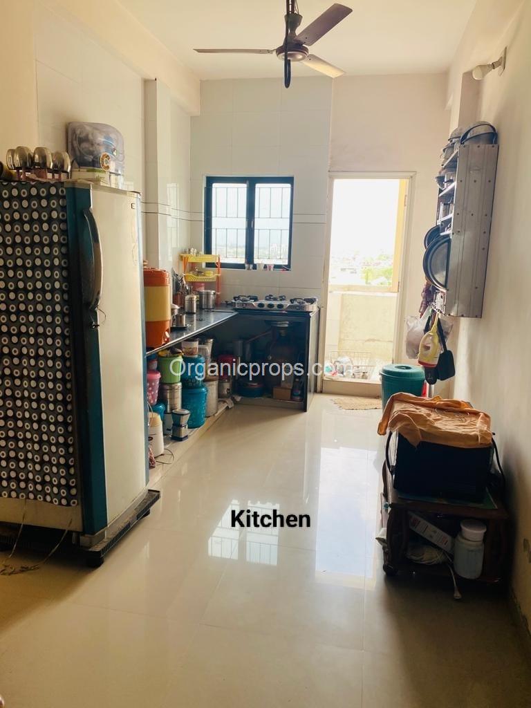 WhatsApp Image 2023-06-03 at 420230603171055927.jpeg